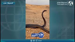 بايع حياته من الاخير