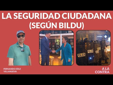 La seguridad ciudadana (según Bildu)