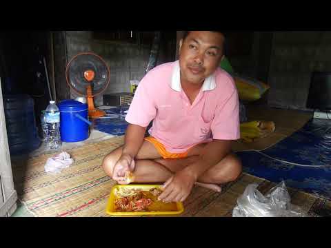 ทําตํามะหุ่งกินกับทอดไข่ทอดกาก ทําตํามะหุ่งกินกับทอดไข่ทอดกาก