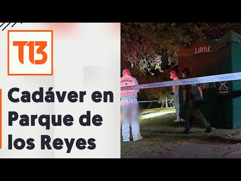 Investigan muerte en Parque de los Reyes: vecinos piden acelerar cierre perimetral