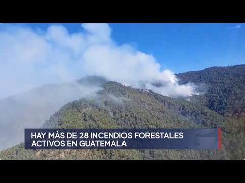 Autoridades confirman incendios forestales en 10 departamentos del país