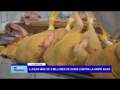 La Libertad: Llegan más de 5 millones de dosis contra la gripe aviar