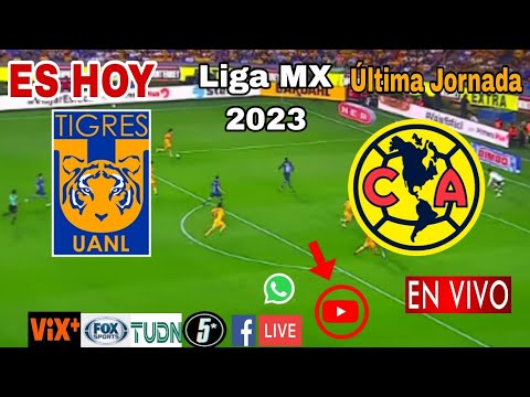 Tigres vs. América en vivo, donde ver, a que hora juega Tigres vs. América Liga MX 2023