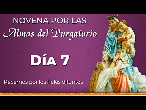 Novena por las Almas del Purgatorio  Día 7  | Padre Ricardo del Campo