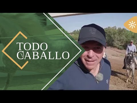 TodoCaballo | El campeón de Doma Vaquera, Francisco Díaz Pajito, busca caballo para competir