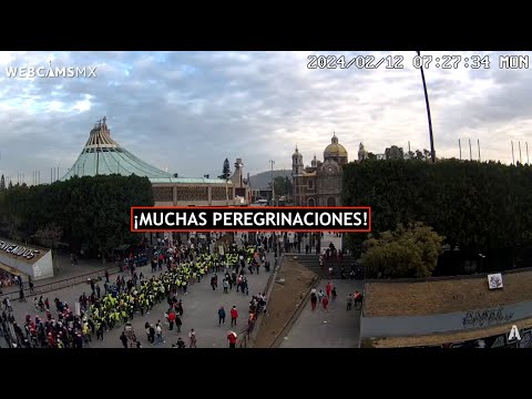 ? #BASÍLICA | Muchas Peregrinaciones buscando a la Virgen. La capital #EnVivo