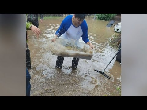 WATCH: Man rescues salmon from flooded Vancouver street