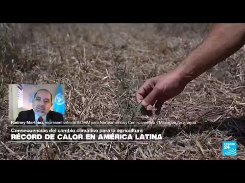 Rodney Martínez: 'Crisis climática en Latinoamérica afecta los sistemas agroalimentarios'