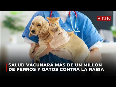 Salud vacunará más de un millón de perros y gatos contra la rabia