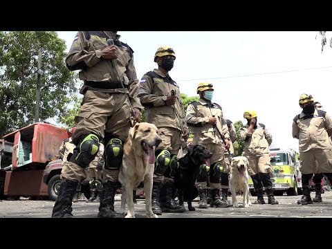 Unidad Canina de bomberos demuestran sus habilidades y destrezas