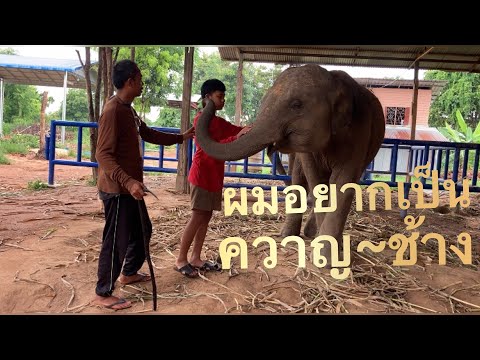 ชม❗️หนังสั้น!!-ตอน…ผมอยากเป็นค ชม❗️หนังสั้น!!-ตอน…ผมอยากเป็นค