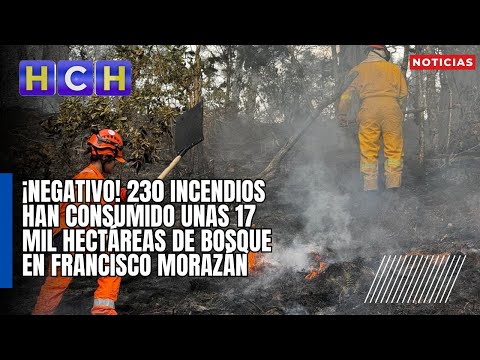 ¡Negativo! 230 incendios han consumido unas 17 mil hectáreas de bosque en Francisco Morazán