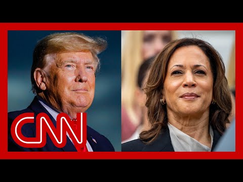 ‘Baffling’: GOP pollster on Trump campaign’s response to Harris’ 2024 run