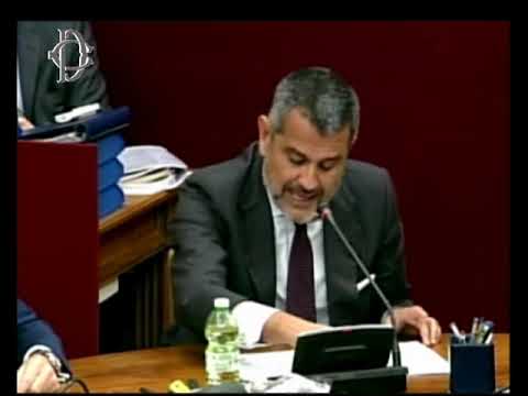 Roma - Semestre spagnolo, audizione ambasciatore Fernàndez-Palacios Martinez (04.10.23)