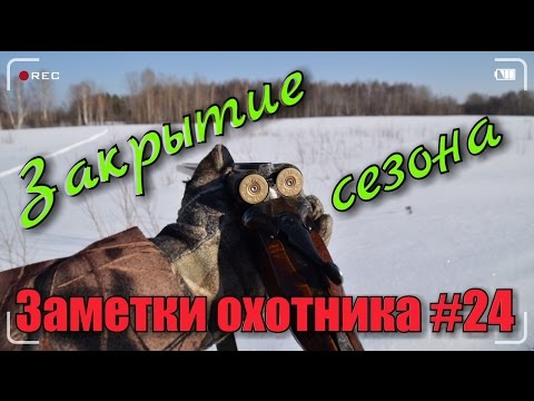 Охота. Закрытие зимнего сезона 2016-2017г.г. Охота на рябчика зайца тетерева. Hunting in russia