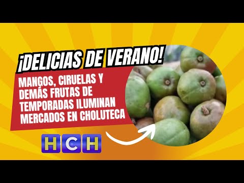 ¡Delicias de verano!  mangos, ciruelas y demás frutas de temporadas iluminan mercados en Choluteca