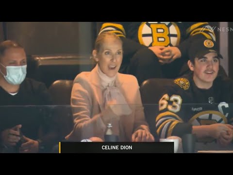 Céline Dion déchaînée lors d'un match de hockey