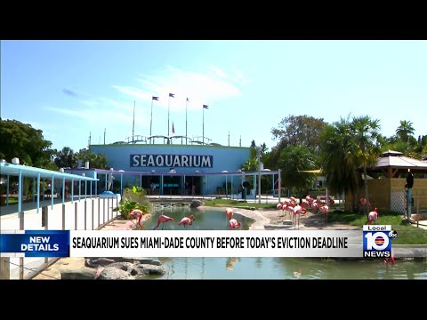 Miami Seaquarium faces Miami-Dade County eviction