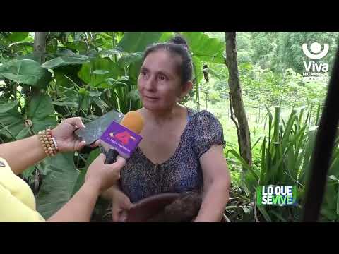 Matagalpa: Programa bono productivo fortalece seguridad alimentaria a familias de escasos recursos