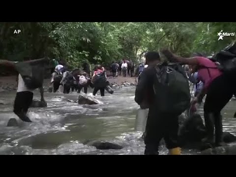 Info Martí | Los Indios Yanomami venezolanos