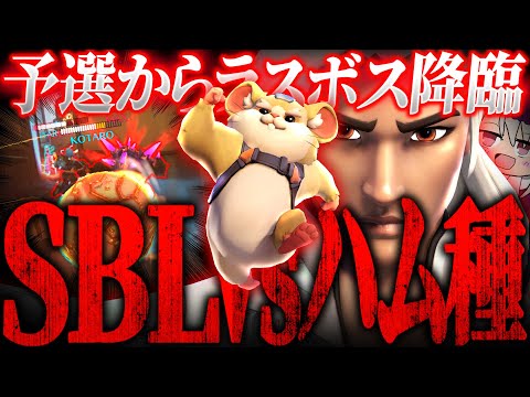 【OWCS】予選から“あのチーム”と激突するSIXBLOW【オーバーウォッチ2】