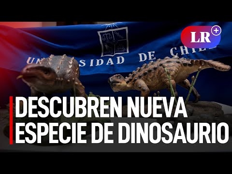 Chile: descubren un dinosaurio acorazado con poderosa arma en la cola
