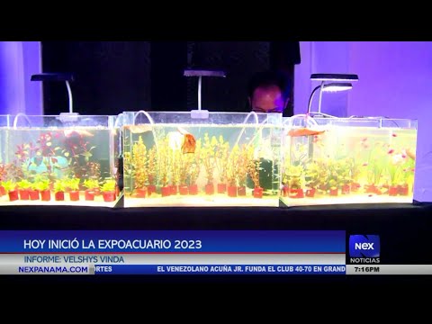Inicio Expo Acuario 2023 que busca promover y educar sobre la acuariofilia en Panama?