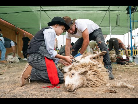 Fiesta de La Lana en Caideros de Gáldar y Día de Canarias