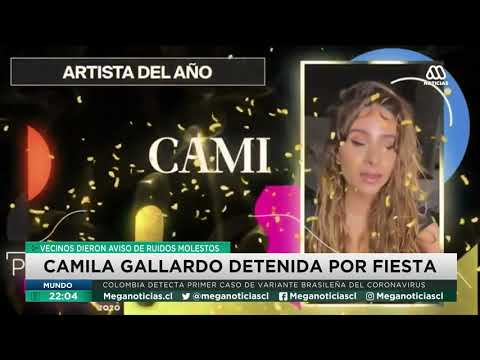 Nacional | Camila Gallardo pide perdón tras ser detenida en fiesta clandestina