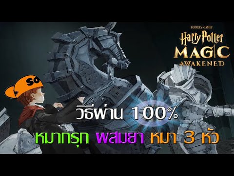 Harry-Potter-Magic-Awakened-วิ Harry-Potter-Magic-Awakened-วิ