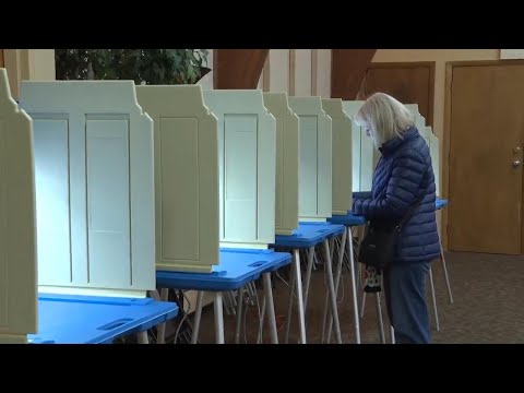 Minnesota voters take to the polls during Super Tuesday primary