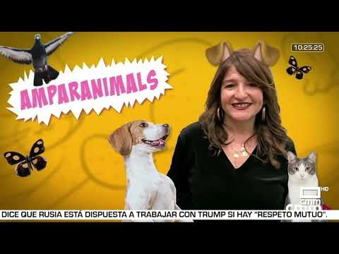 Despierta Player con Cristina Medina 18/7/2024