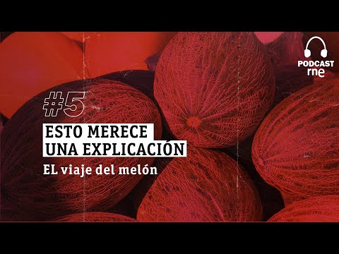 PODCAST RNE | Esto MERECE una EXPLICACIÓN: El VIAJE del MELÓN | RTVE