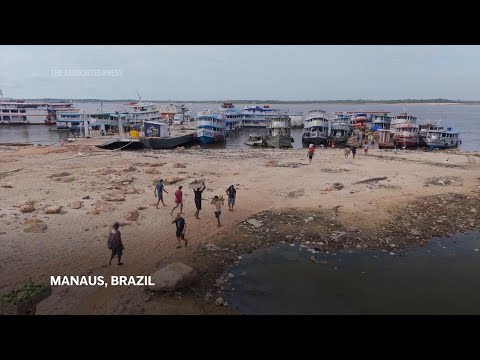 Drought has dried a major Amazon River tributary to its lowest level in over 122 years