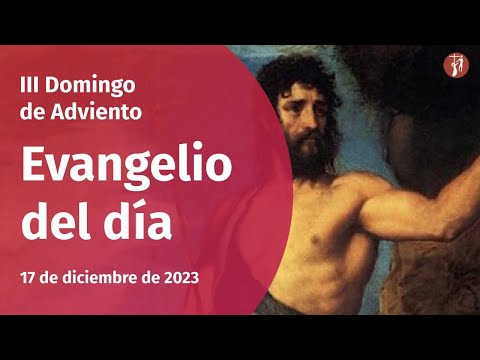 Evangelio - Juan 1, 6-8. 19-28 (17/12/2023)