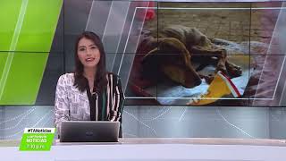 ((AL AIRE)) #TANoticias con María del Pilar, Carlos Bolívar, Jhon Jaime e Isabel Echeverría |