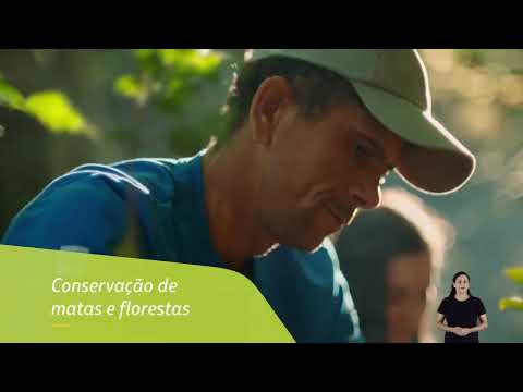 Petrobras - Ogilvy Brasil - Biodiversidade