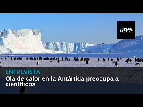 Antártida: Ola de calor preocupa a científicos. ¿Una aceleración del cambio climático?