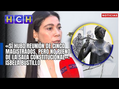«Sí hubo reunión de cinco magistrados, pero no Pleno de la Sala Constitucional»: Isbela Bustillo