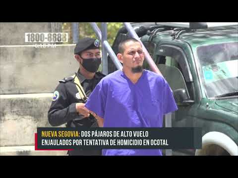 «Pájaros de alto vuelo» enjaulados por tentativa de homicidio en Ocotal - Nicaragua