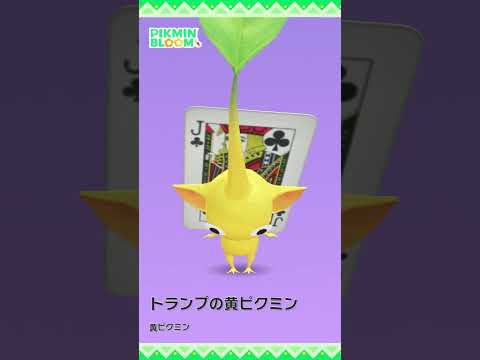 【ピクミンブルーム】「トランプ：クラブ(8～K）」デコピクミン モーション比較 #pikminbloom #トランプピクミン #トランプデコピクミン#shorts