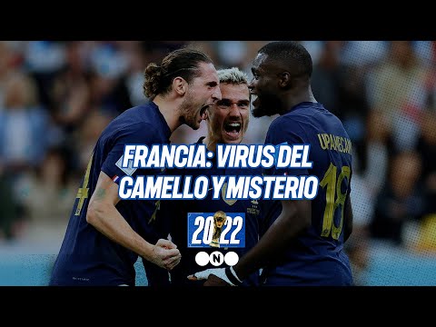 FRANCIA: VIRUS del CAMELLO y MISTERIO - Telefe Noticias