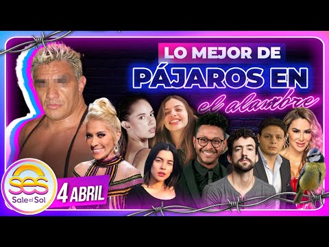 Shocker, Ginny Hoffman, Daniela Parra, Kaliba, Giovanni Medina | Lo Mejor de Pájaros | 4/04/2024