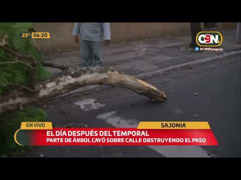 Destrozos por Asunción: El día después del temporal