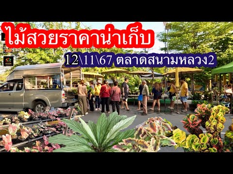 ตลาดธนบุรีสนามหลวงสองเดือนพ