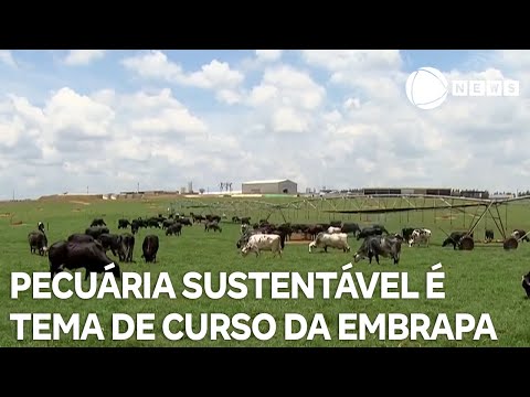 Conexão Agro: Pecuária sustentável é tema de curso oferecido pela Embrapa