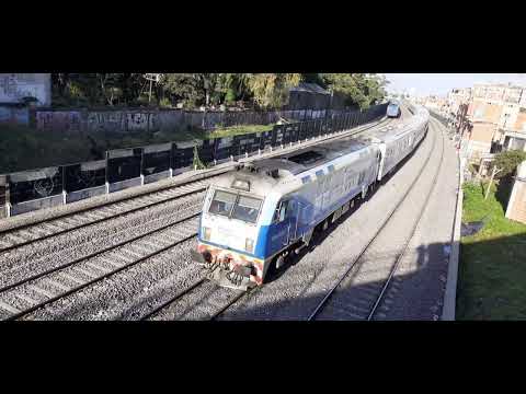 Trenes bajo el Puente Julio Cortázar (5): Local + el Martita chino