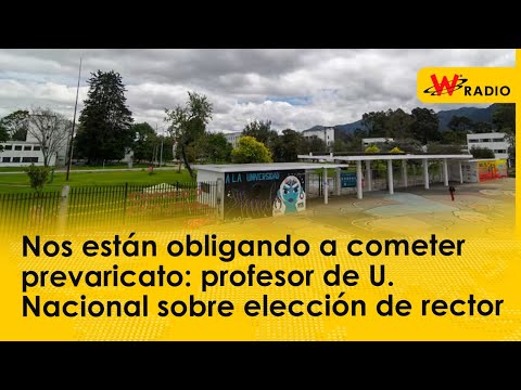 Nos están obligando a cometer prevaricato  profesor de U  Nacional sobre elección de rector