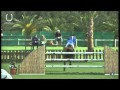 Show jumping horse Volle zus loopt 160