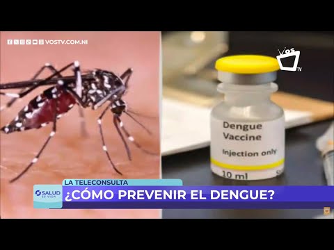 Dengue: ¿Cuáles son los síntomas y cómo prevenirlo?
